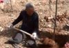 Anziano senza gambe pianta 17mila alberi: “Lo faccio per le generazioni future”