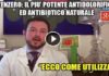 LO ZENZERO È L’ANTIDOLORIFICO NATURALE PIÙ POTENTE DI QUALSIASI FARMACO.